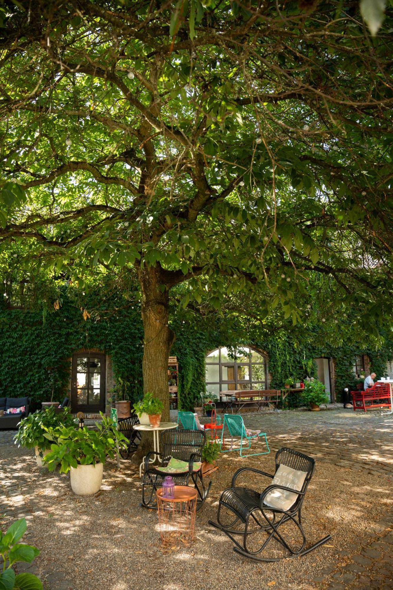 Landhaus Danielshof Bedburg Extérieur photo